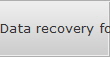 Data recovery for Castlewood data